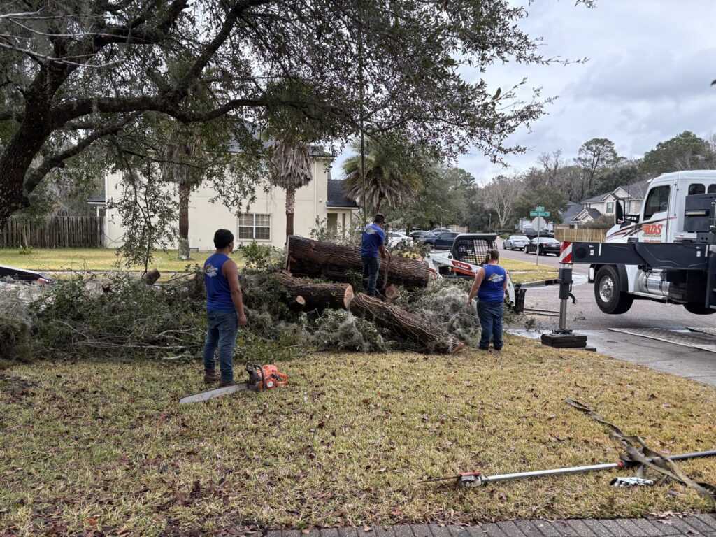 A tree service crew cleaning up cut logs and branches after tree removal by 904tree.com in Jacksonville, FL.