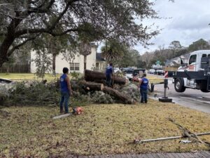 A tree service crew cleaning up cut logs and branches after tree removal by 904tree.com in Jacksonville, FL.