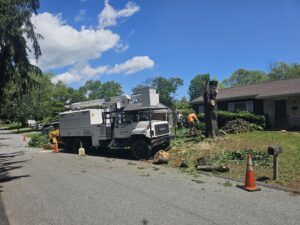 A tree service crew with a bucket truck and chipper performing tree removal and cleanup for Timber Taskforce Tree Service in York, PA.