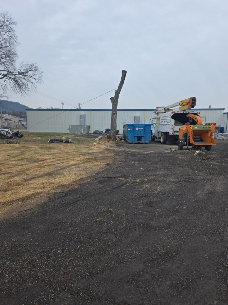 Tree removal cleanup with a wood chipper and bucket truck by Ortiz Tree Service in East Ridge, TN.