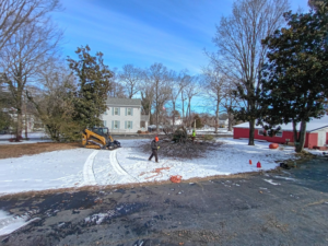 A TWIN PINE tree service crew with a skid steer cleaning up tree debris on a snowy day in Salunga, PA.