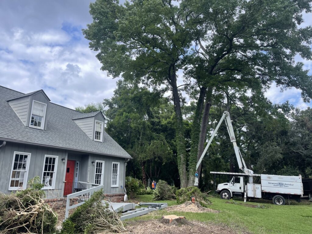 Tree removal and cleanup in progress by Stewart Tree Service with a bucket truck in Mount Pleasant, SC.