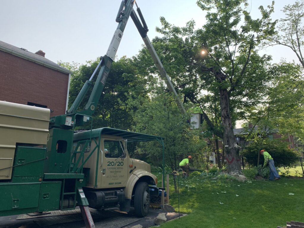 Workers cleaning up after tree removal with a bucket truck from 20/20 Landscaping and Tree Service in Pittsburgh, PA.