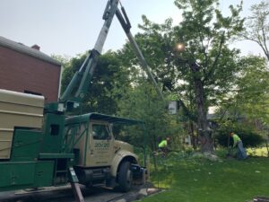 Workers cleaning up after tree removal with a bucket truck from 20/20 Landscaping and Tree Service in Pittsburgh, PA.