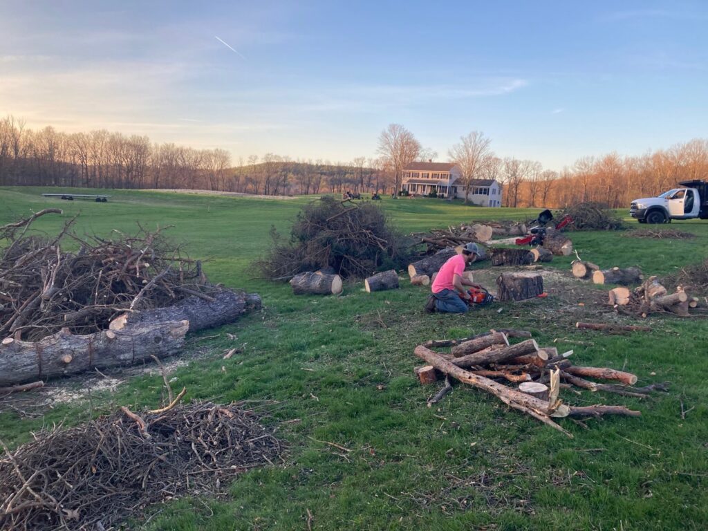 Worker operating a chainsaw during tree removal and cleanup, with logs and branches, by Sky High Tree Service in Lynnwood, WA.