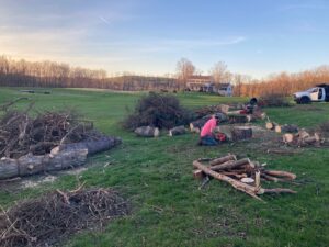 Worker operating a chainsaw during tree removal and cleanup, with logs and branches, by Sky High Tree Service in Lynnwood, WA.