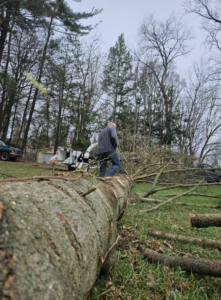 A large tree trunk on the ground with a wood chipper in the background during cleanup by Asg Tree Service in Kalamazoo, MI.