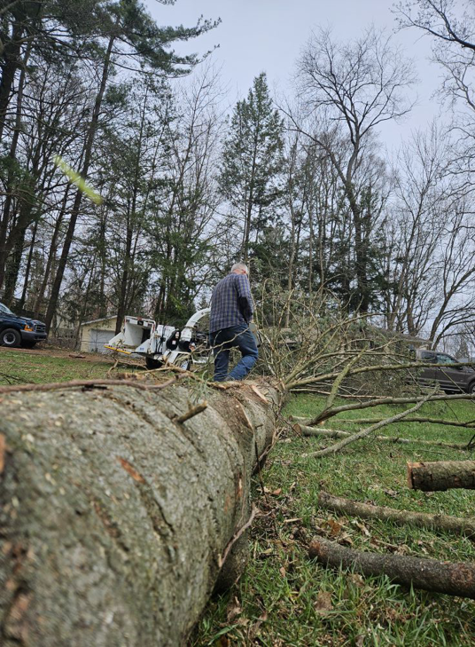 A large tree trunk on the ground with a wood chipper in the background during cleanup by Asg Tree Service in Kalamazoo, MI.