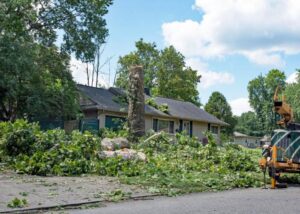 A large tree stump and branches on the ground with a wood chipper, showing tree removal cleanup by Rhode Island Tree Removal in Providence, RI.