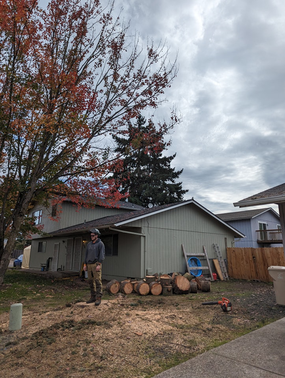 A tree service worker standing in a yard with cut logs and wood chips after tree removal by Yost Tree Service in Salem, OR.