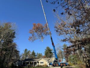A large crane lifting a tree with autumn foliage over a residential home during a tree removal by Tip Top Tree Service in Hudson, NH.