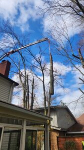 A crane lifting a large tree section with branches on the ground during tree removal by Ecotree Services LLC in Lorain, OH.