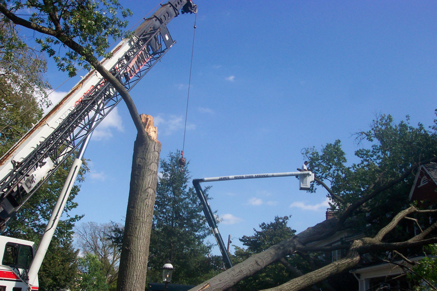 A tree service crew using a crane and bucket truck for tree removal in Midlothian, VA by James River Tree Service.