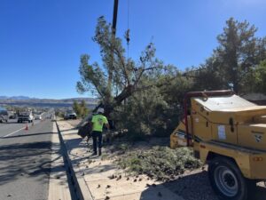 A large tree being removed by a crane with a wood chipper and worker on site, by BA Robinson Tree Service in Saint George, UT.