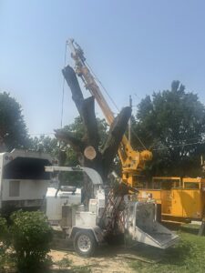 A large tree is being removed using a crane and wood chipper by Southern Accent Tree Service in West Des Moines, IA.