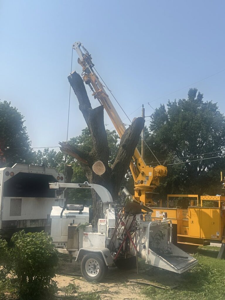 A large tree is being removed using a crane and wood chipper by Southern Accent Tree Service in West Des Moines, IA.