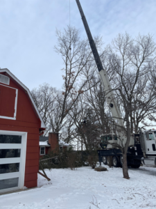 A large crane assisting with tree removal near a house by J's Tree Trimming and Removal, Inc. in Ann Arbor, MI.