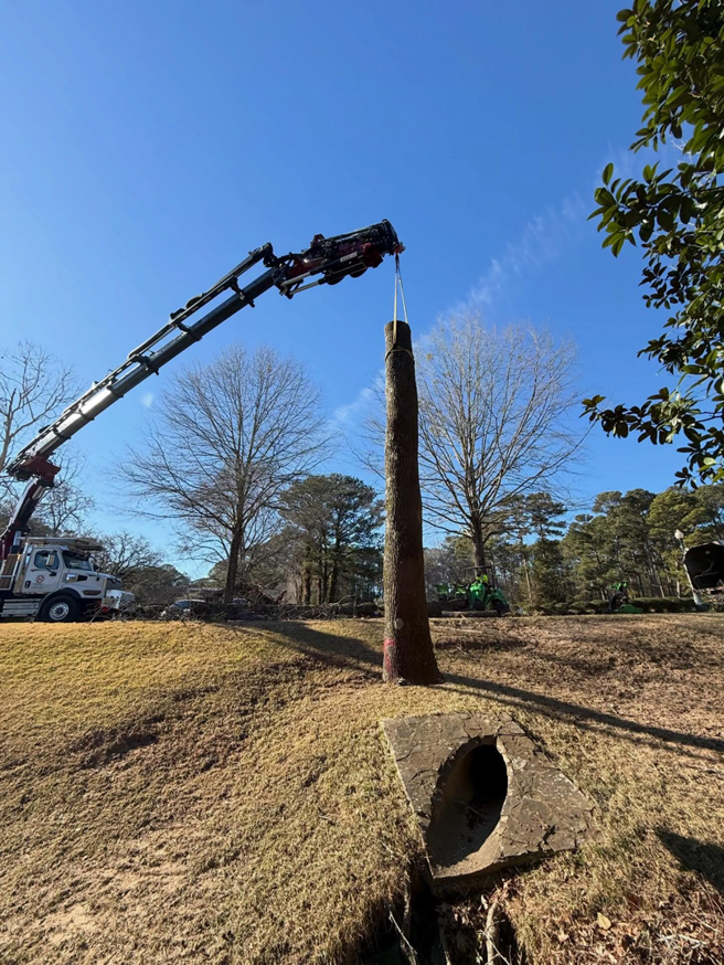 A crane truck lifting a large tree trunk during a tree removal service by Hall's Tree Service in Paw Paw, MI.