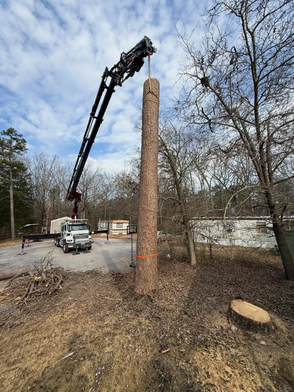 A crane truck lifting a large tree trunk during a tree removal service by Hall's Tree Service in Paw Paw, MI.