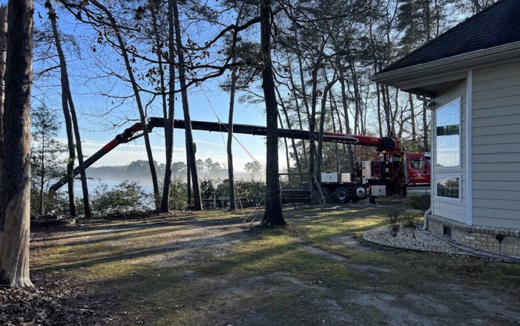 A crane truck removing a large tree trunk over a body of water for Marshall's Tree Service in Virginia Beach, VA