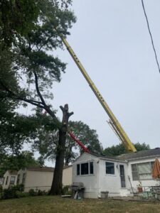 A large crane assisting with tree removal next to a residential home by Happy Lemon Tree Service in Belton, MO.