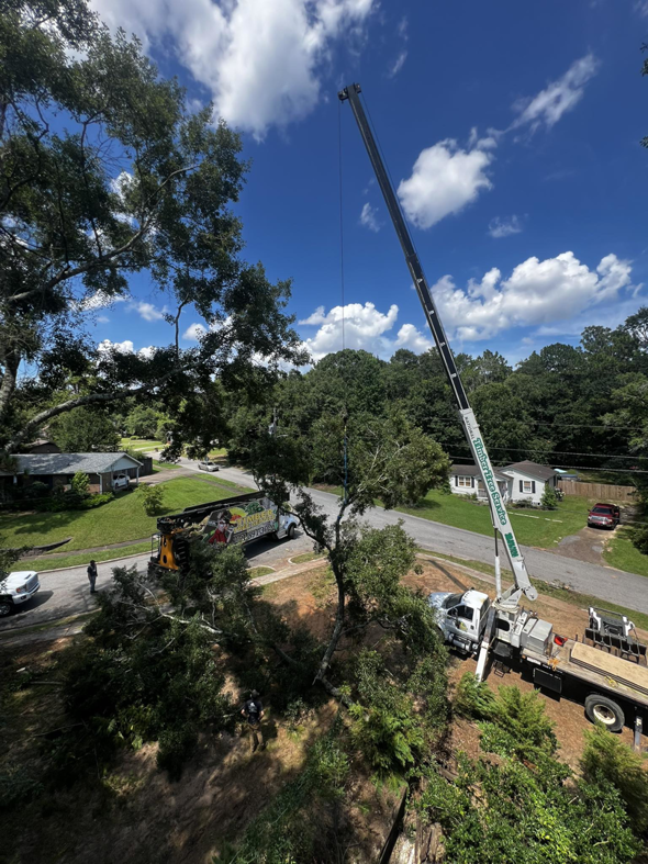 A large crane lifting a tree section during a tree removal job by Timber Tree Service Incorporated in Theodore, AL.