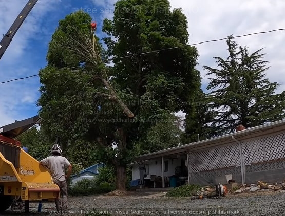 A large tree section being removed by a crane with a wood chipper nearby by St. Charles Tree Service in St. Charles, MO.