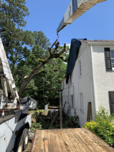 A tree service worker using a crane for safe tree removal near a residential home by Residential Tree Service & Landscaping in Columbus, GA.