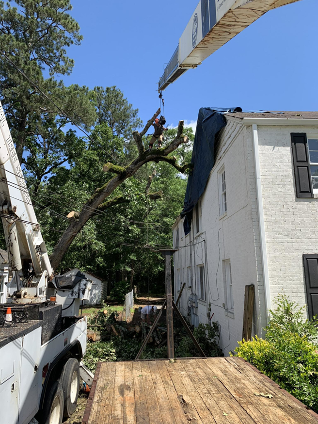 A tree service worker using a crane for safe tree removal near a residential home by Residential Tree Service & Landscaping in Columbus, GA.