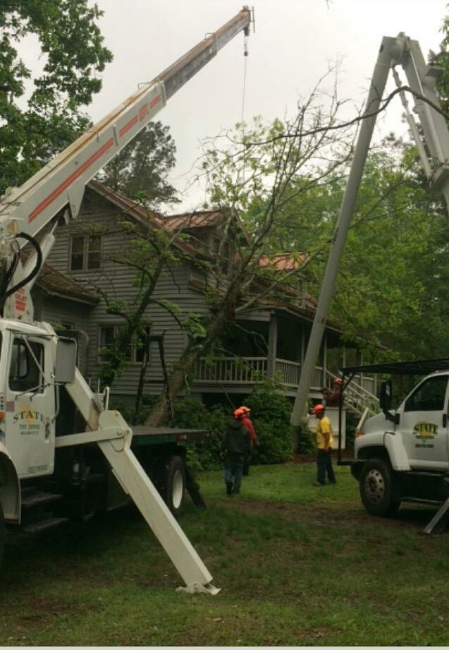 Two crane trucks and a crew performing tree removal services near an old house for State Tree Services, Inc in Sumter, SC.