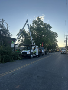 A Bozeman Arborcare Tree Service LLC crew using a bucket truck for tree removal on a street in Bozeman, MT.