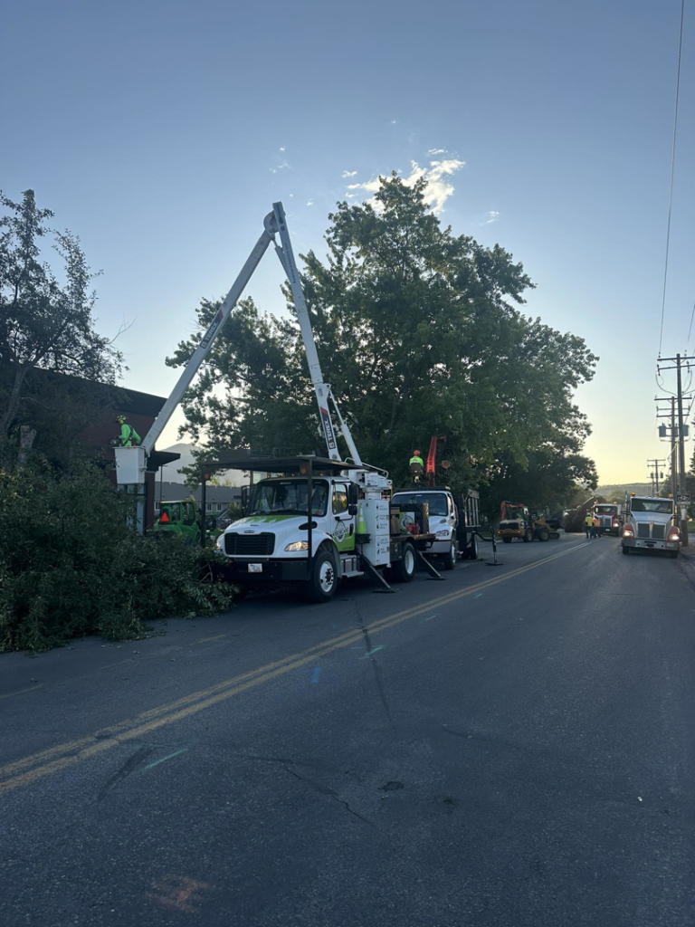 A Bozeman Arborcare Tree Service LLC crew using a bucket truck for tree removal on a street in Bozeman, MT.