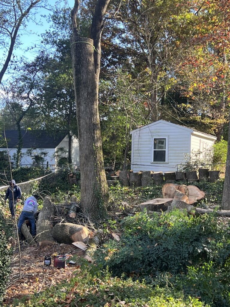 A tree removal crew cutting logs on the ground after service by Elegant Tree Service in Atlanta, GA.