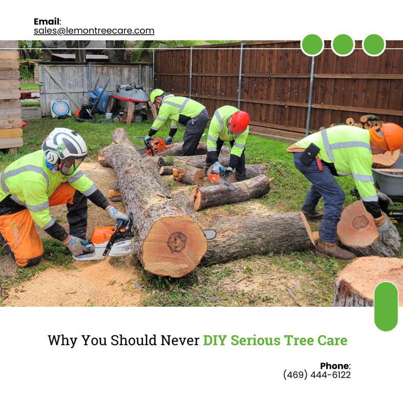 Lemon Tree Service crew members using chainsaws to cut large tree logs during a removal job in Irving, TX.