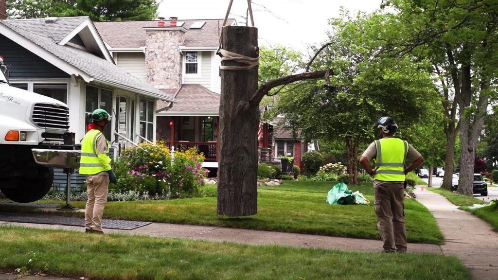 Longtree Tree Service crew lifting a large tree trunk section during a tree removal job in Southfield, MI.