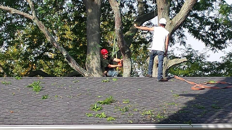 Tree service crew members working on a roof near a large tree, performing tree removal for Stick Chasers Tree Service in Racine, WI.