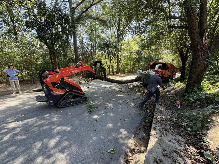 A tree service crew removing a large branch with a skid steer and chainsaws for Castle Tree Service in Conway, AR.