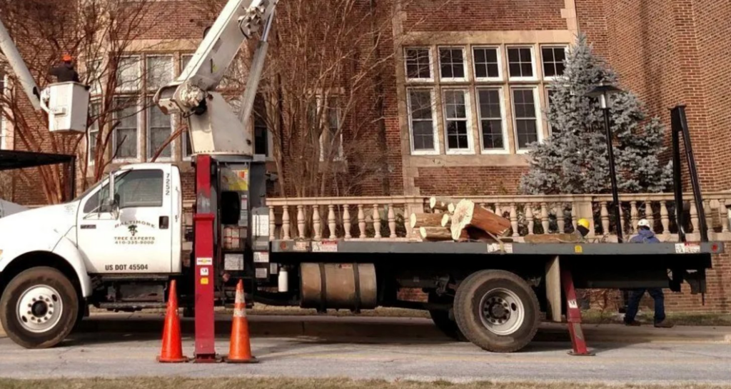 A tree removal crew with a bucket truck and cut logs on a flatbed for Baltimore Tree Experts in Baltimore, MD.