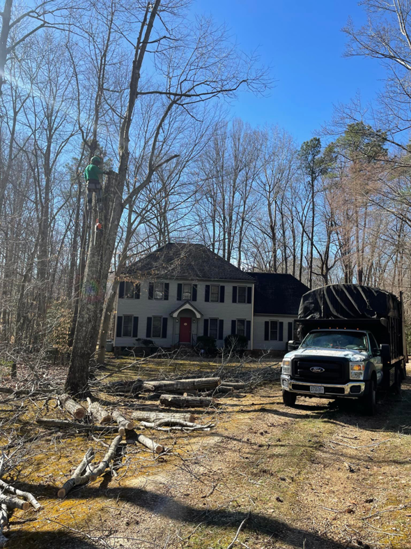 A tree service crew with a truck and cut logs after tree removal by Ismael's Tree Service in Henrico, VA