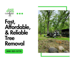 A tree removal crew operating a wood chipper with a pile of debris, provided by Clear View Tree Care in Janesville, WI.