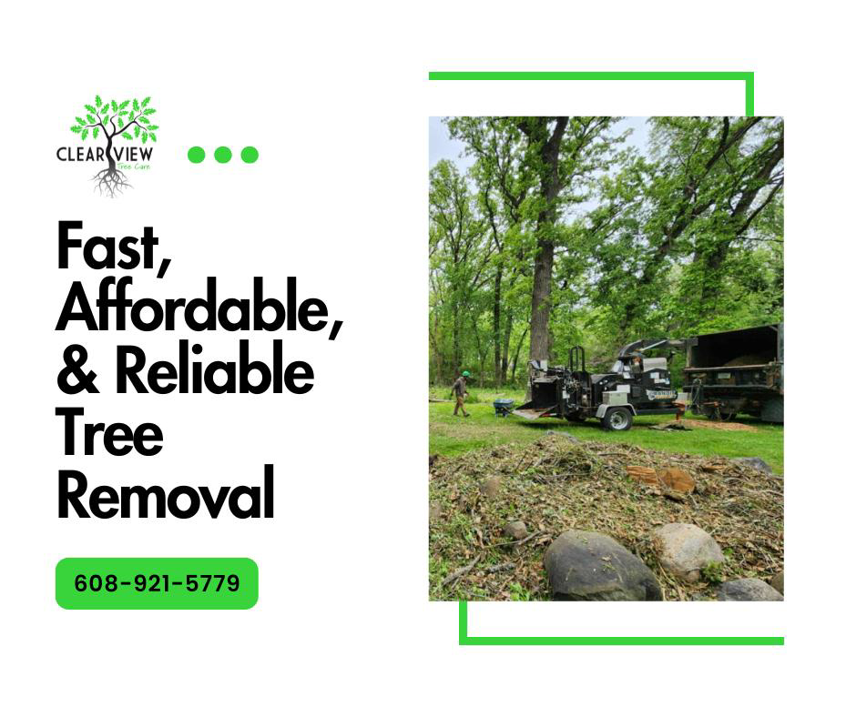 A tree removal crew operating a wood chipper with a pile of debris, provided by Clear View Tree Care in Janesville, WI.