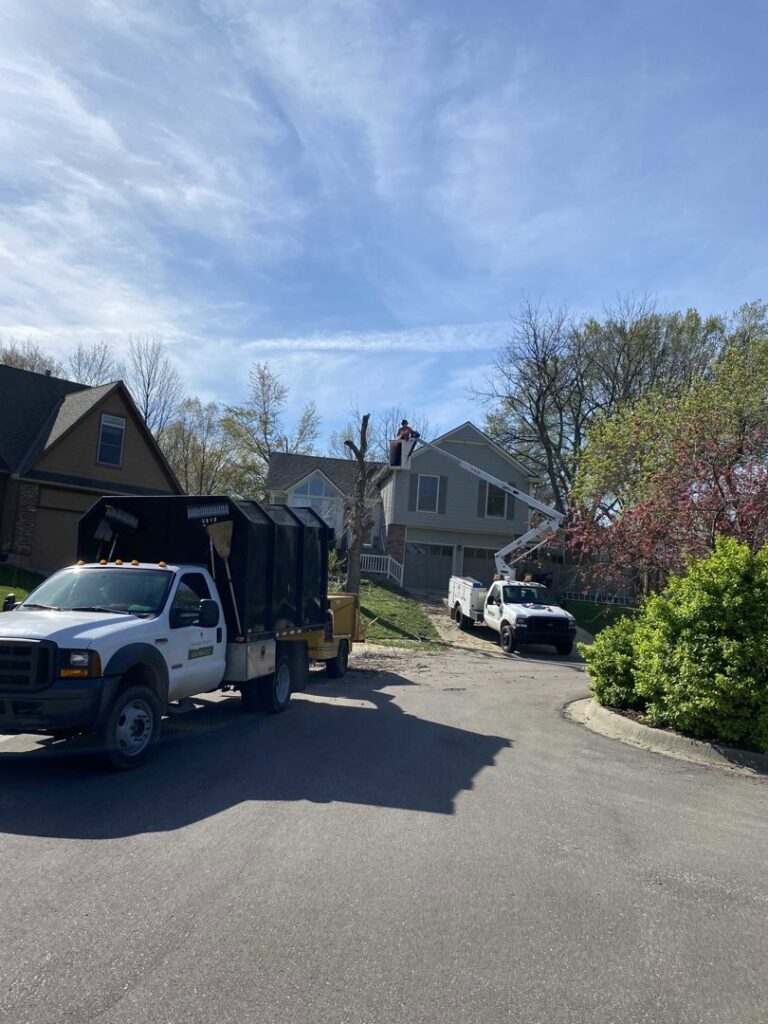 An Affordable Treefellers crew with a dump truck and bucket lift performing tree removal services near a residential home in Shawnee, KS.