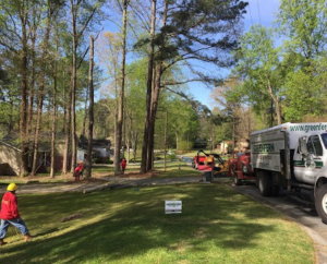 A Green Fern Tree Service crew performing tree removal with a wood chipper in Roswell, GA.
