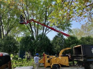 A tree removal crew operating a wood chipper and bucket lift on a job site for SKV Tree Service in Morris, IL.