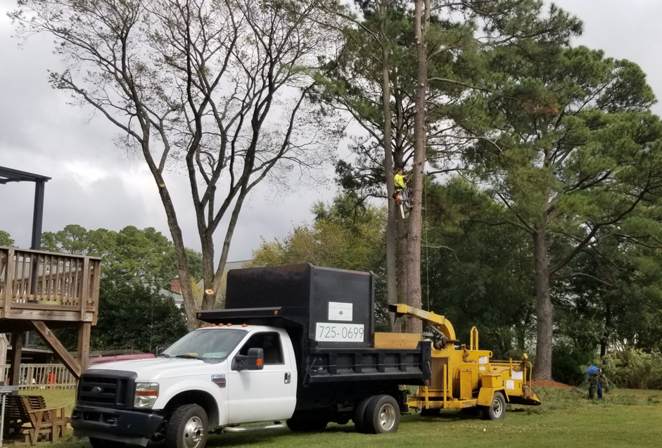 A tree service crew with a climber, wood chipper, and dump truck from William "Rusty" Ruskey Tree Service in Newport News, VA.