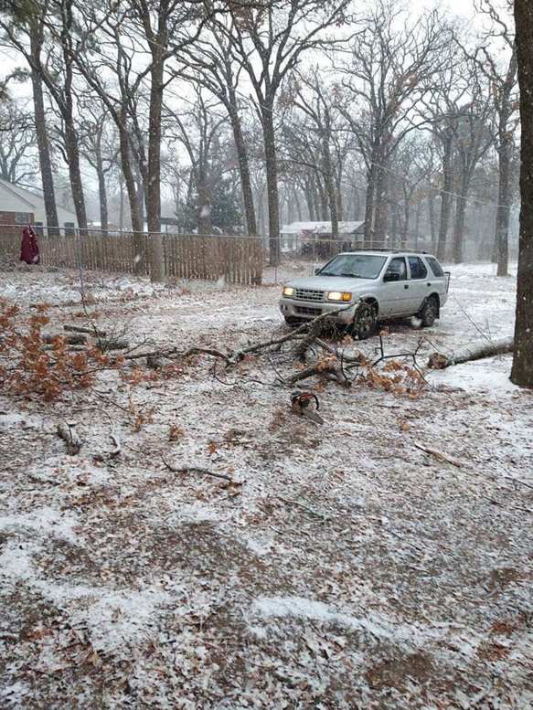 Cut tree branches and a chainsaw on snowy ground after tree removal by All American Tree Service in Talent, OR.