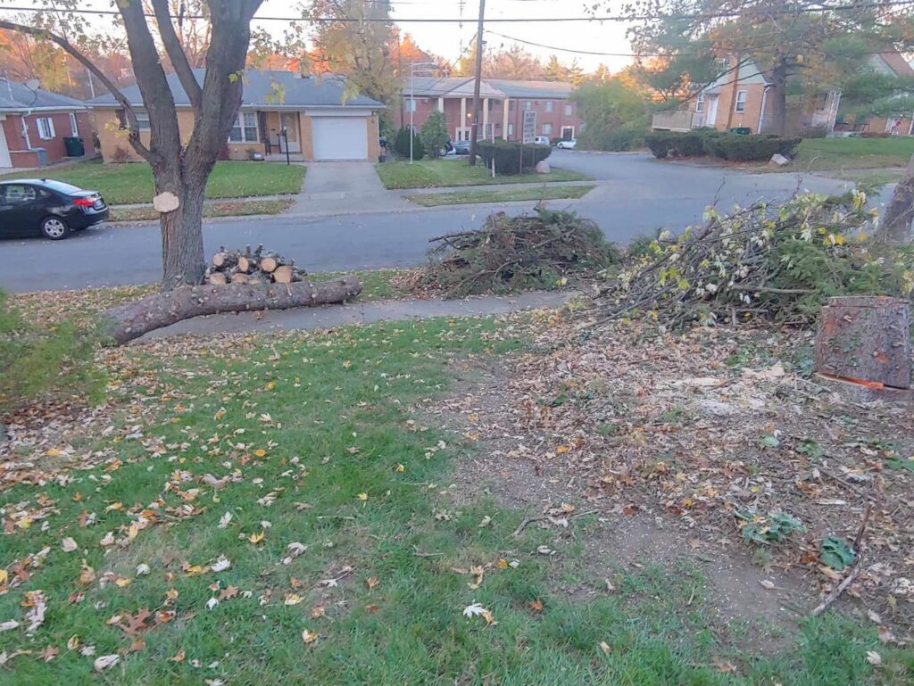 Tree removal debris and cut logs on a residential street after service by Wooded Ways Tree Removal in Cincinnati, OH.