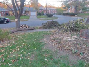 Tree removal debris and cut logs on a residential street after service by Wooded Ways Tree Removal in Cincinnati, OH.