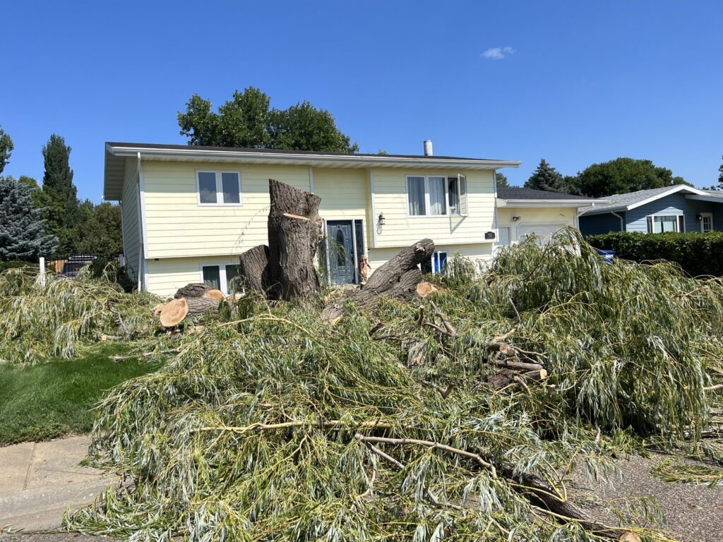 A large pile of cut tree branches and logs in a residential front yard after tree removal by Affordable Tree Service in Dickinson, ND.