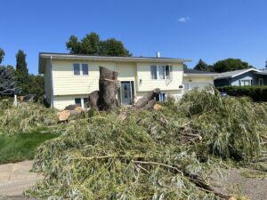 A large pile of cut tree branches and logs in a residential front yard after tree removal by Affordable Tree Service in Dickinson, ND.